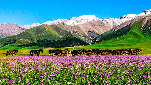 China Xinjiang Tours